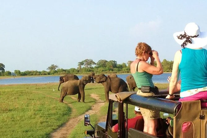 Wild Ceylon Adventure - 7 Days